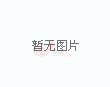 波波维奇不再担任主教练！29年5次夺冠，仅缺席3次季后赛！